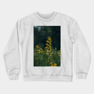 Yellow Wild Indigo Crewneck Sweatshirt